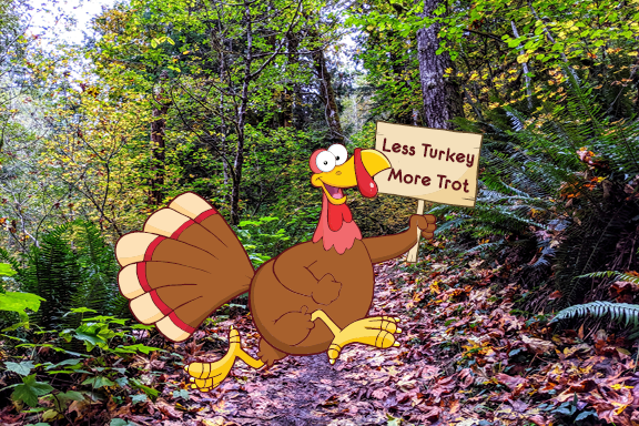 Less Turkey, More Trot 33K/24K12K